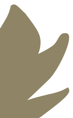 decoration