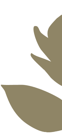 Decoración