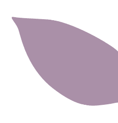 decoration
